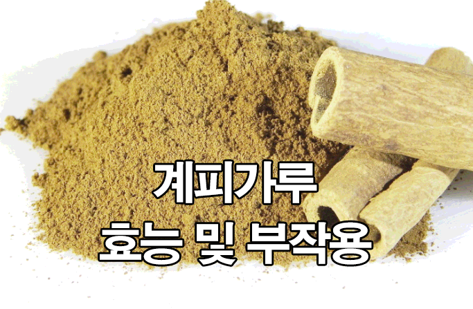  계핏가루 효능 및 부작용 10가지 : 계피가루