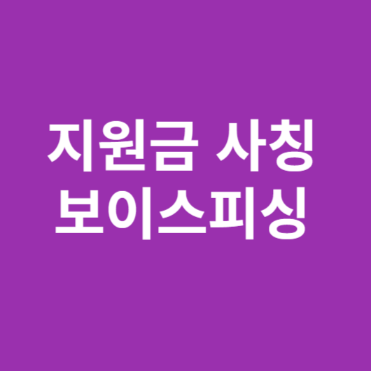 문자 사칭/보이스피싱 피해 정보