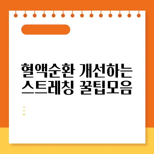 혈액순환 개선하는 스트레칭 꿀팁모음