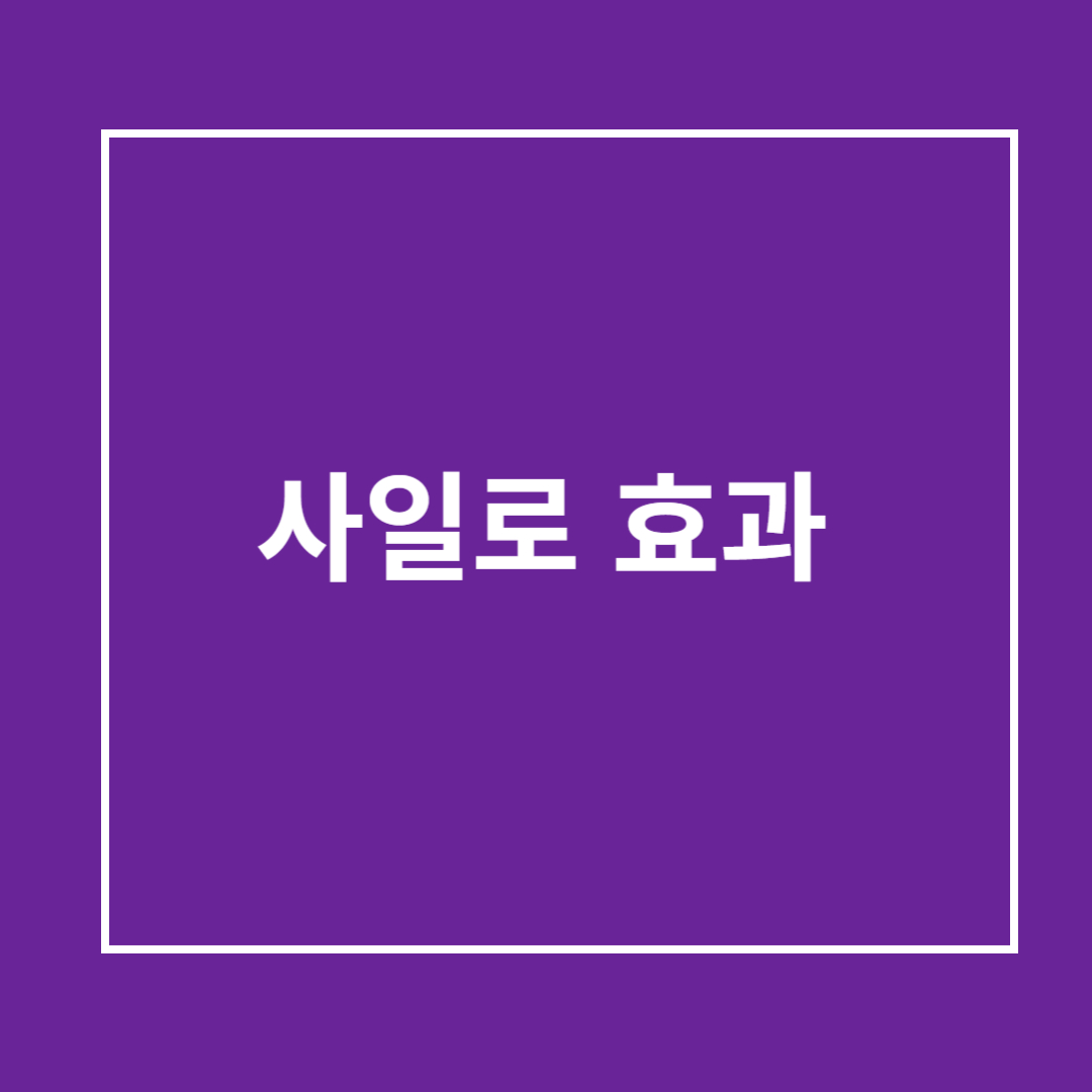 사일로 효과 개념