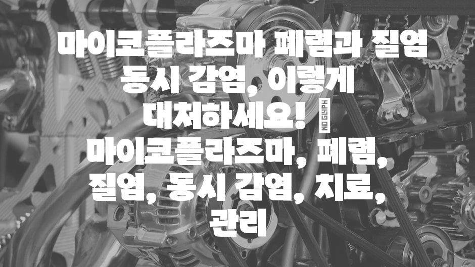 샘플 (59)