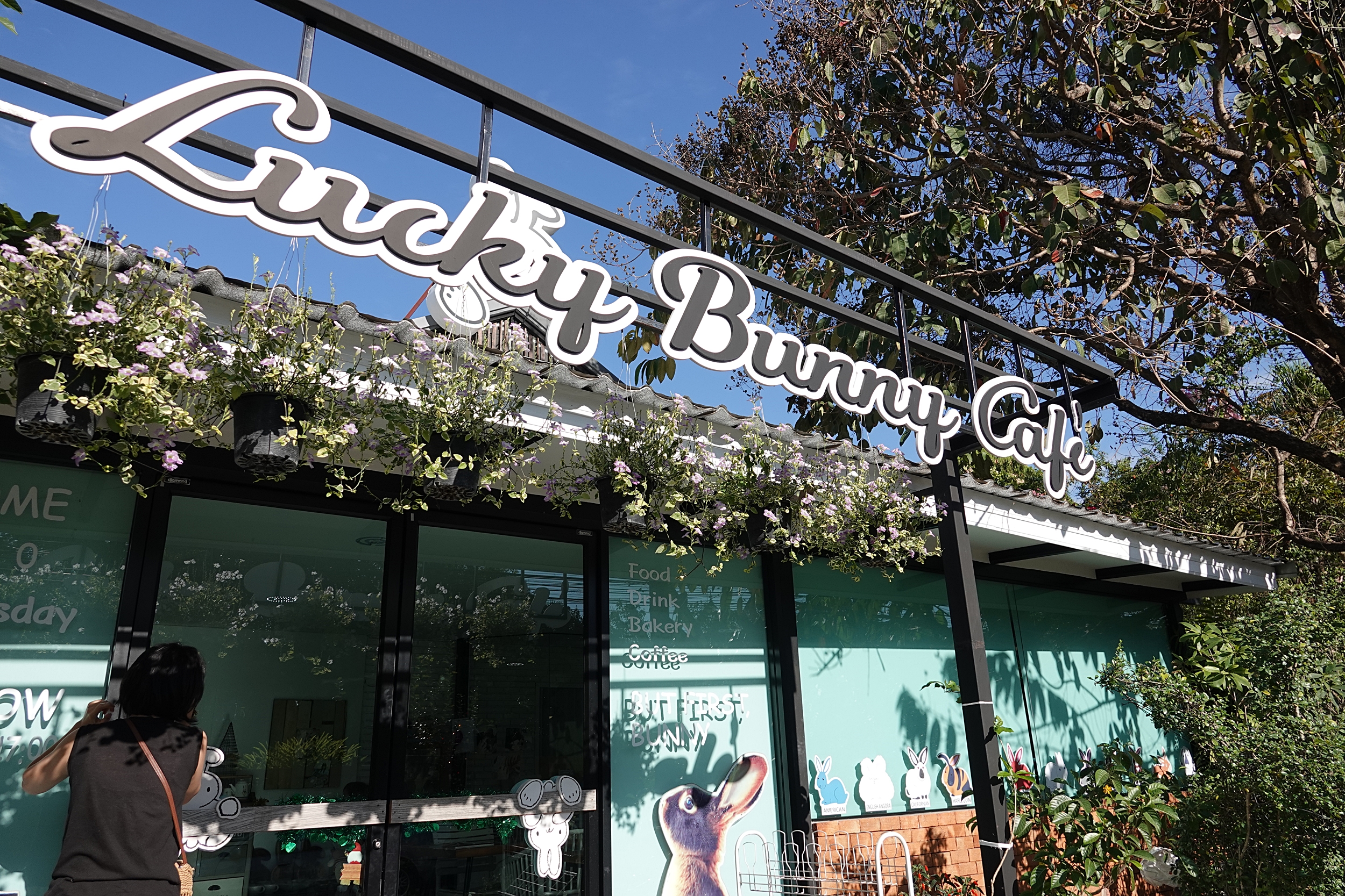  [태국 치앙마이#25] 아이와 함께 치앙마이 토끼 카페 lucky bunny cafe - 1