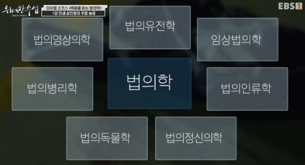 &quot;alt&quot;:&quot;법의학의 분류&quot;