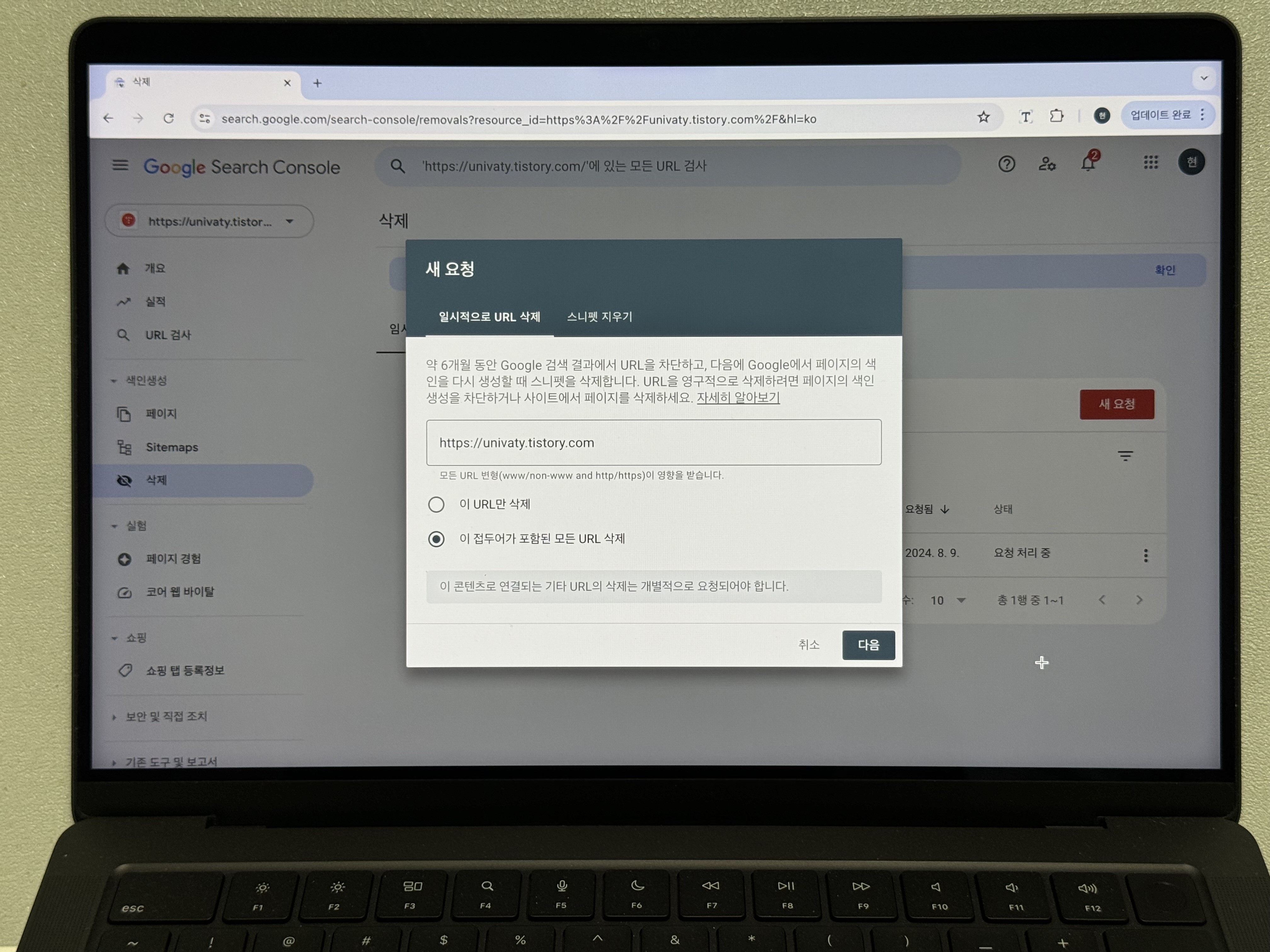 구글 서치콘솔 일시적으로 사이트 URL 삭제 알럿 사진