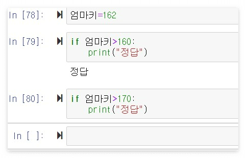 파이썬 if 조건문