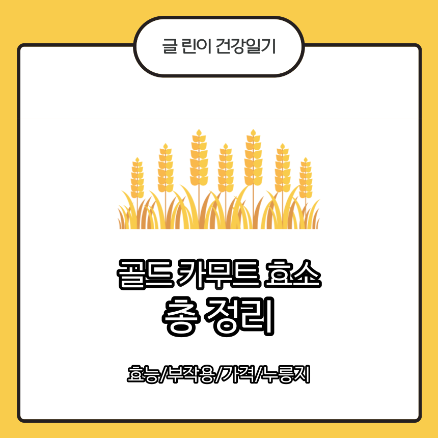 골드 카무트 효소 효능
골드 카무트 효소 부작용
골드 카무트 효소 가격
골드 카무트 효소 누릉지