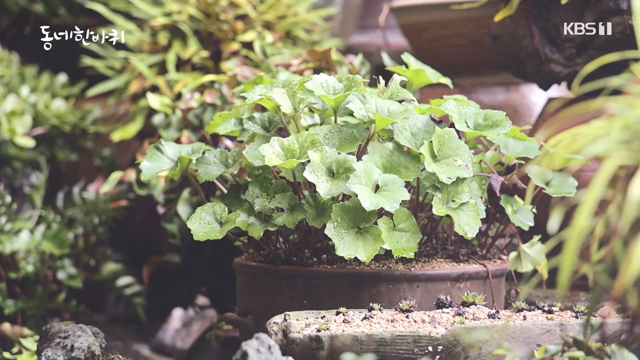 동네 한 바퀴.E243.231015p-NEXT.mp4_20231015_184149.908.jpg