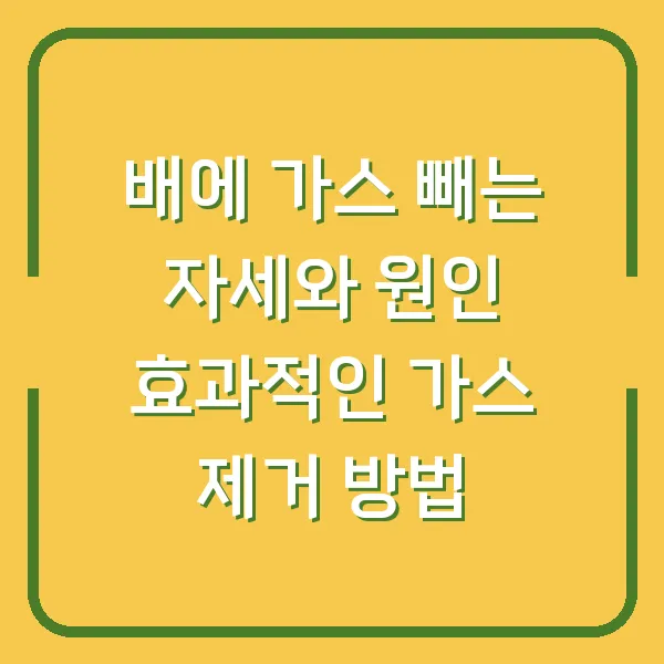 배에 가스 빼는 자세와 원인 효과적인 가스 제거 방법