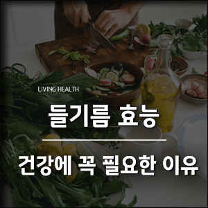  들기름 효능 건강에 꼭 필요한 이유