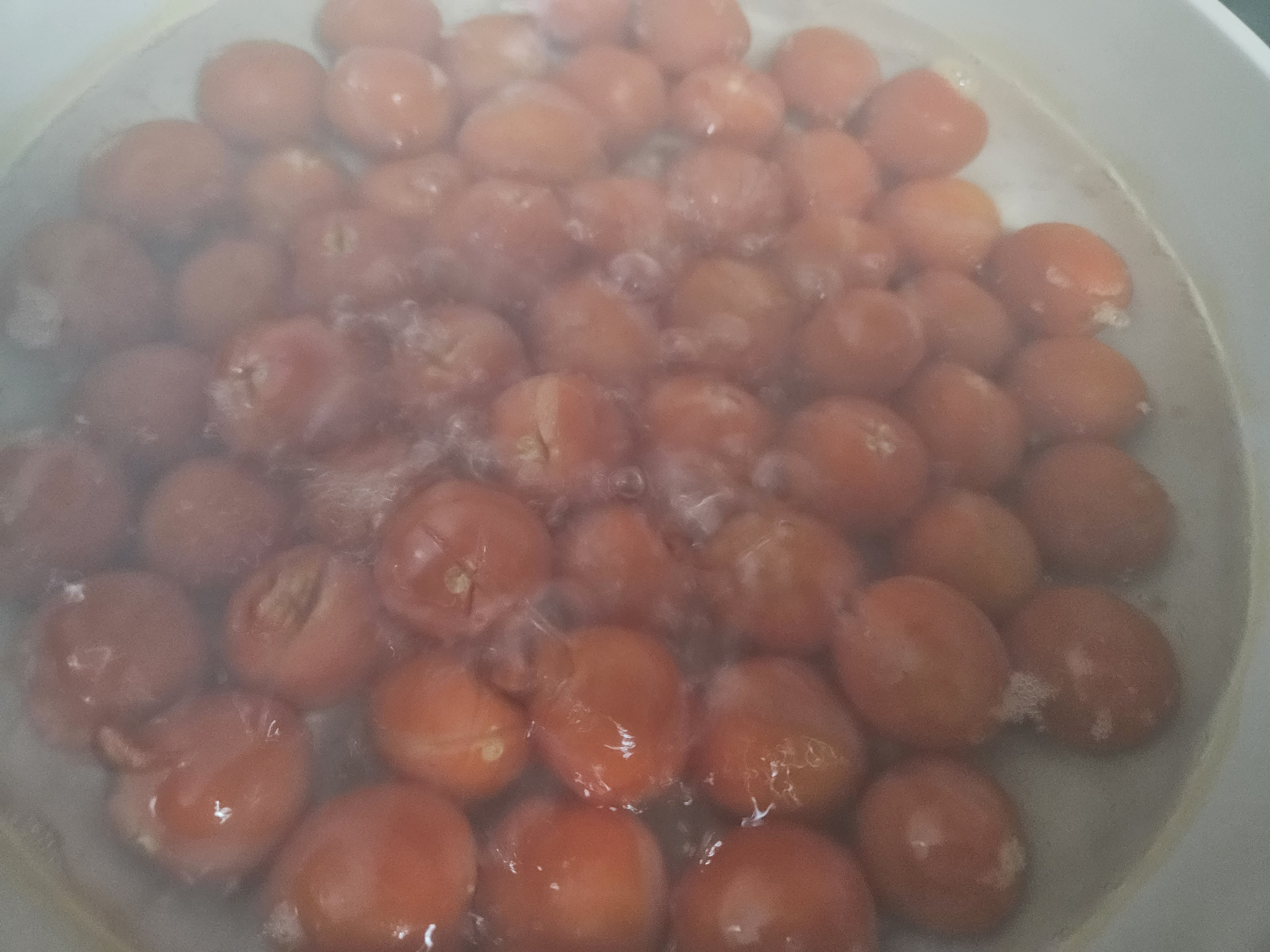 방울토마토 매실절임 매실청 토마토 활용요리 토마토효능