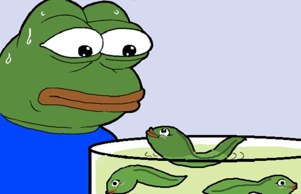  시작