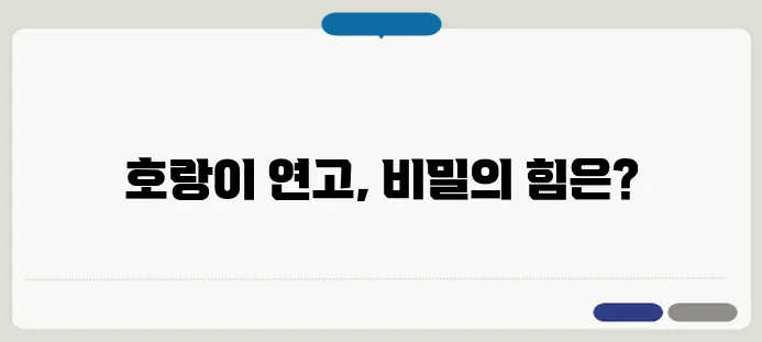 호랑이 연고 효능 이보다 자세히 설명할순없다