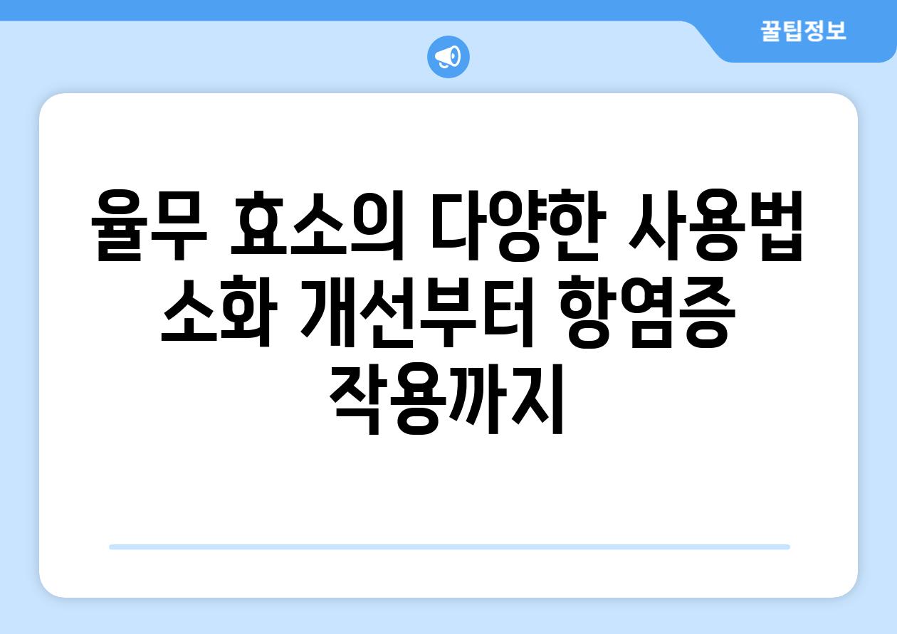 율무 효소의 다양한 사용법 소화 개선부터 항염증 작용까지