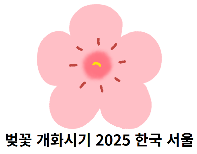 벚꽃 개화시기 2025 한국 서울