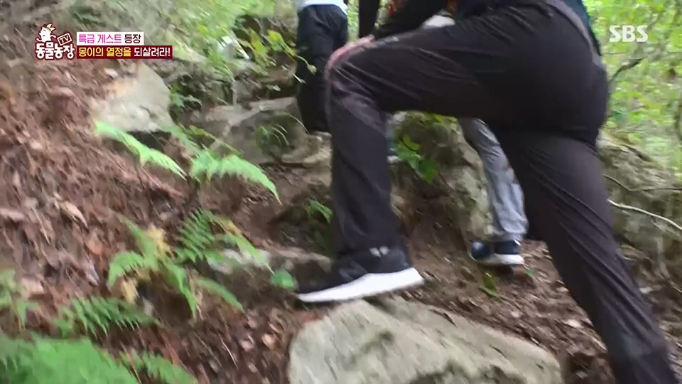 TV 동물농장.E1128.230709p.H264-F1RST.mp4_20230709_183531.744.jpg