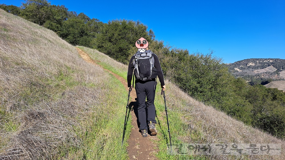 Old Finley Trail