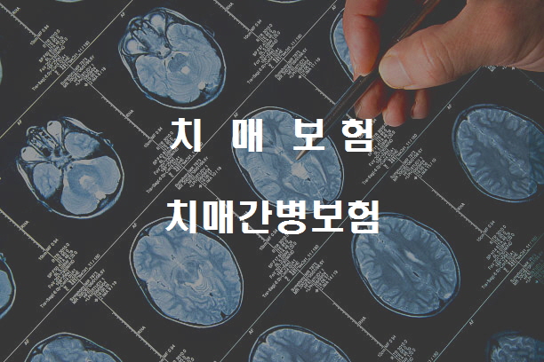  노다지네 잡학다식