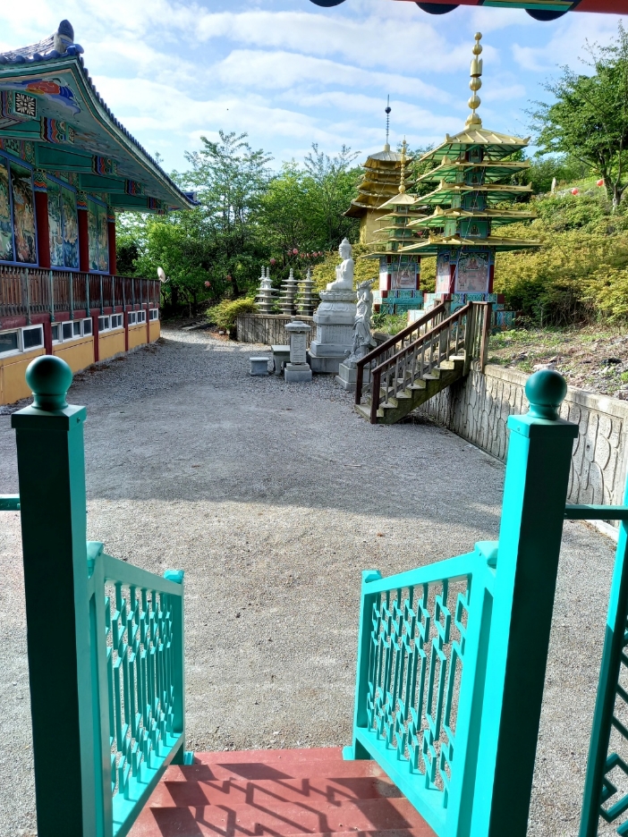 img.jpg