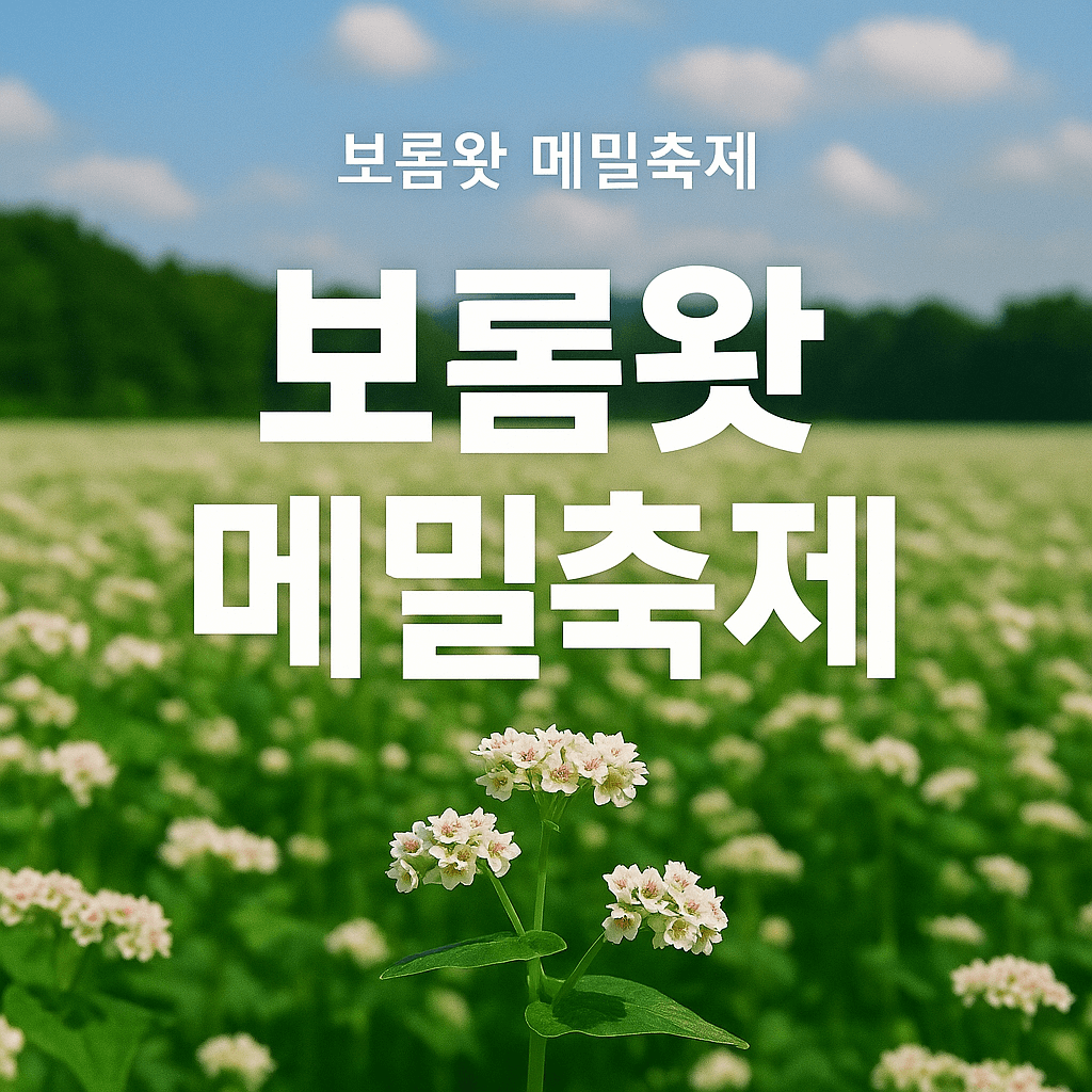 보롬왓 메밀축제