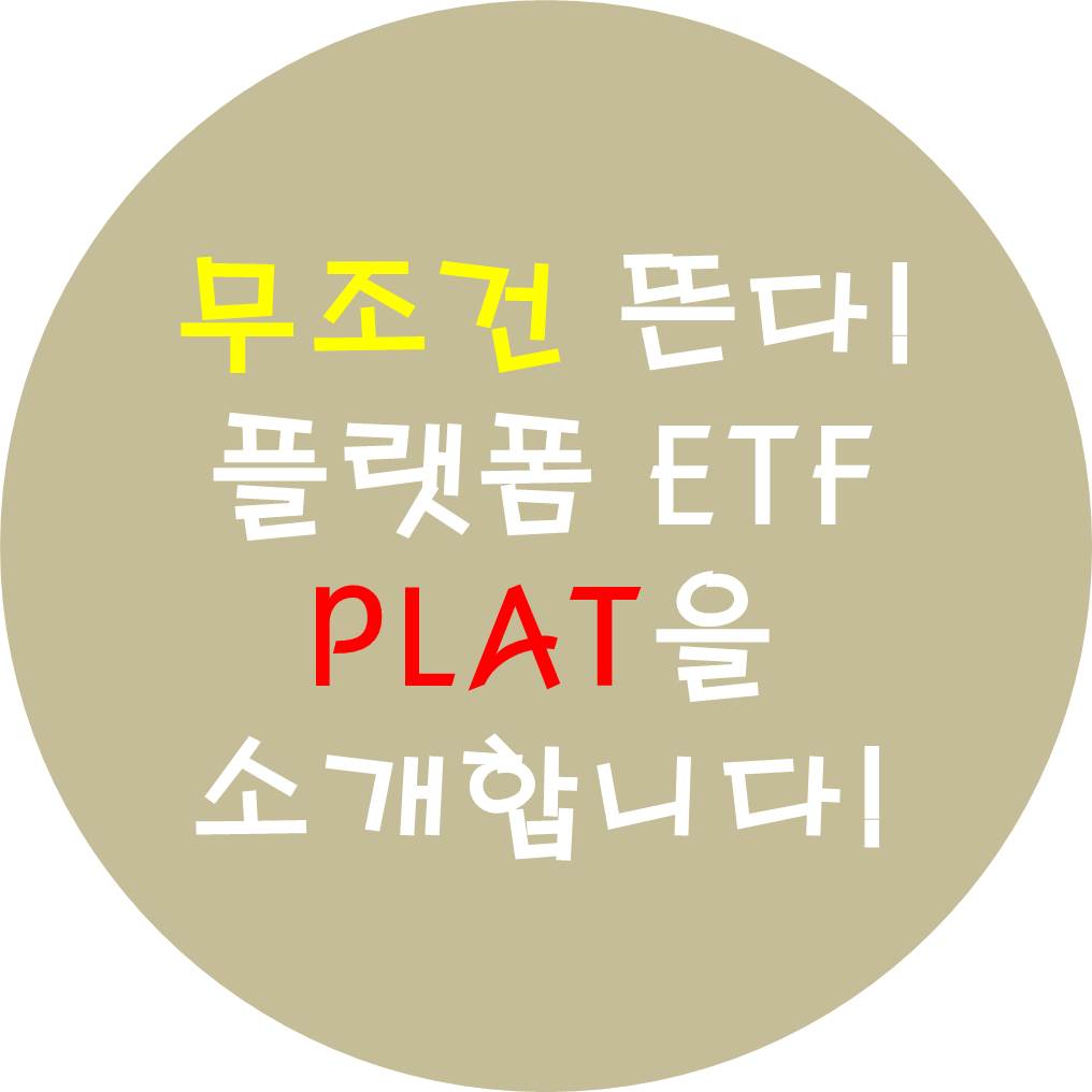  미국 플랫폼 ETF PLAT을 소개합니다.