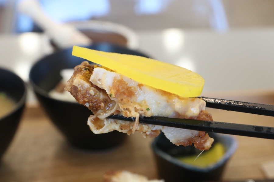 돔 종류이름 극찬했던 일산 8