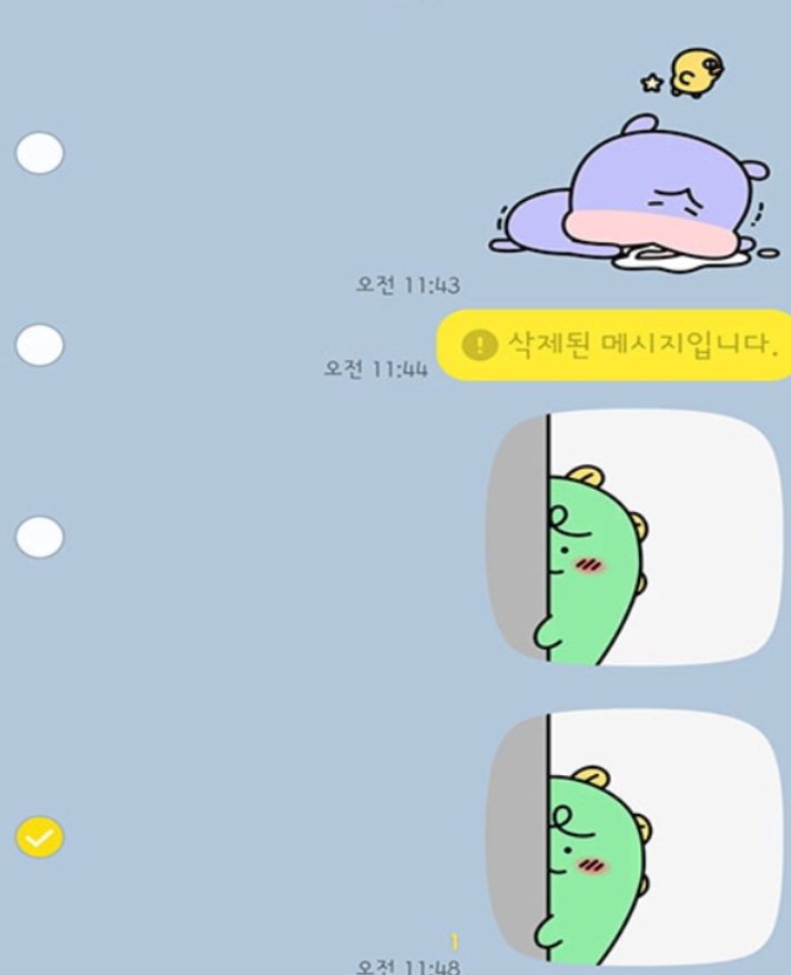 카톡 삭제기능 주의해요 카톡 삭제기능 주의해요