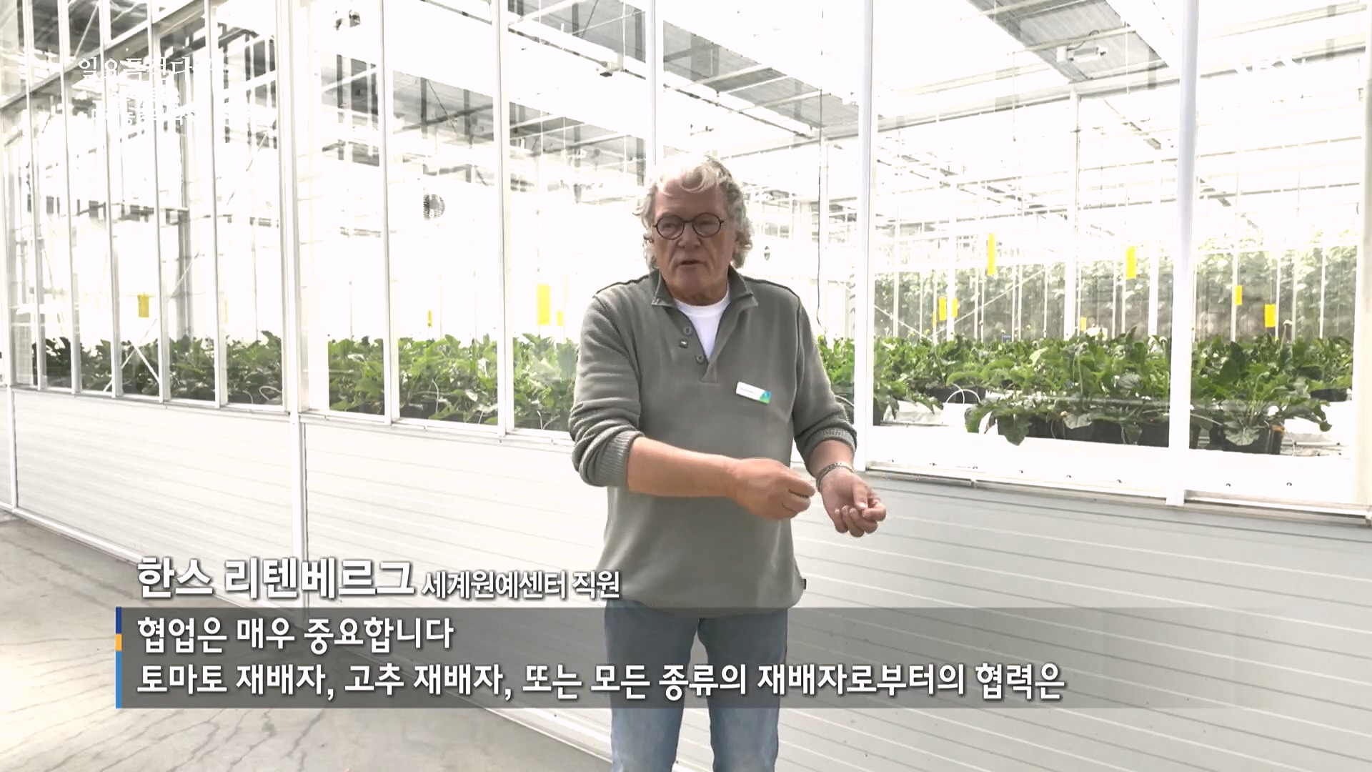 일요 특선 다큐멘터리.E348.240804p.H264-F1RST.mp4_20240805_200820.001.jpg