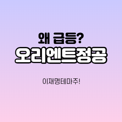  오리엔트정공 - 어떤 회사인가요? 이재명테마주/기업분석