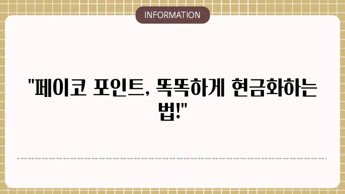 페이코 포인트 현금화 및 충전 환불방법 사용처 정리