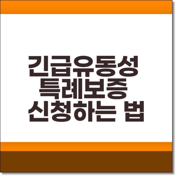  긴급유동성 특례보증 신청하는 법