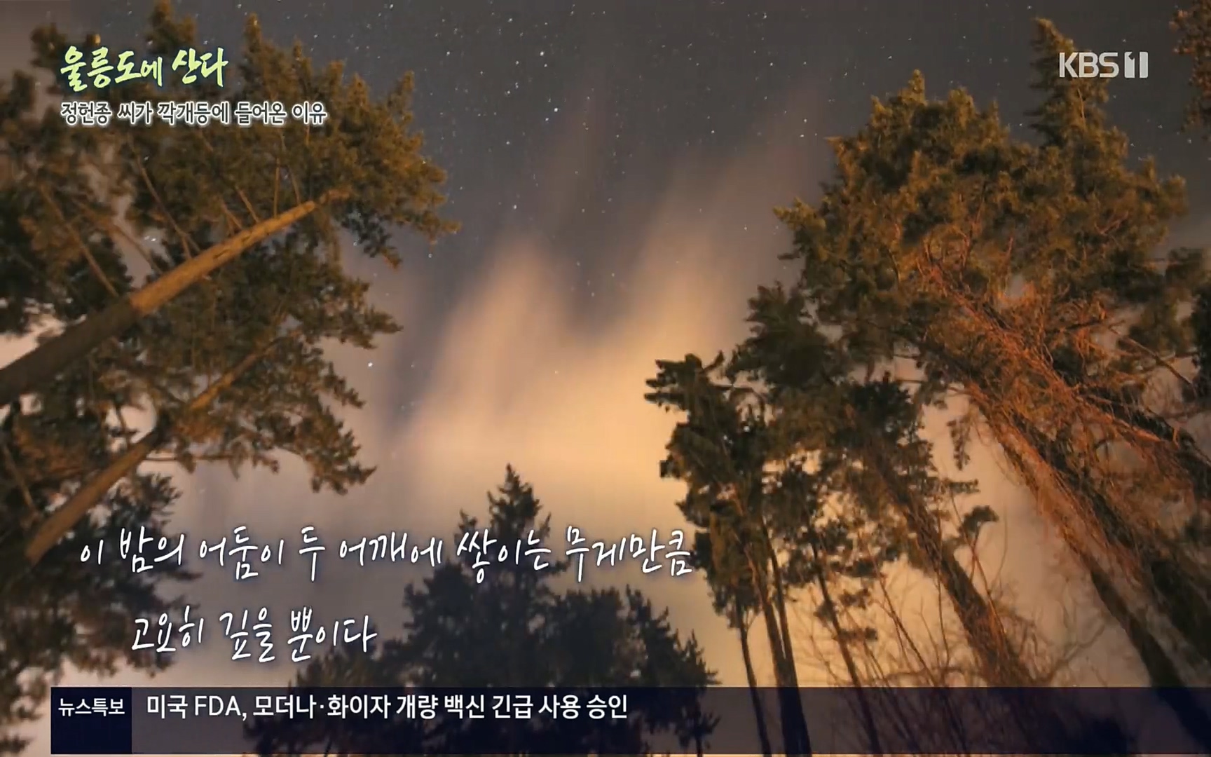 다큐울릉도에산다.E01.220909p.H264-F1RST.mp4_20220912_175301.997.jpg