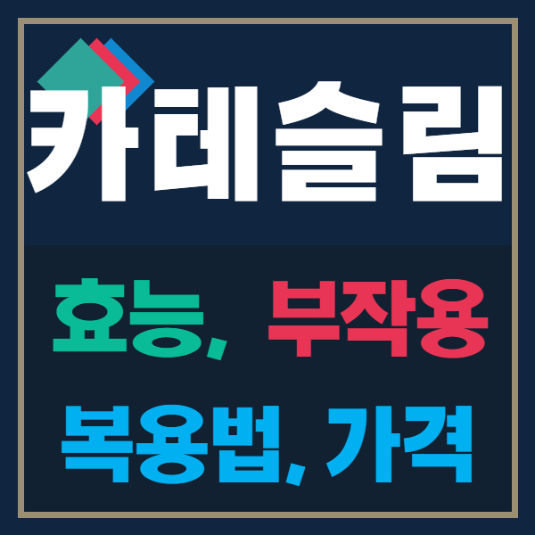  카테슬림 부작용과 효능, 섭취방법, 가격