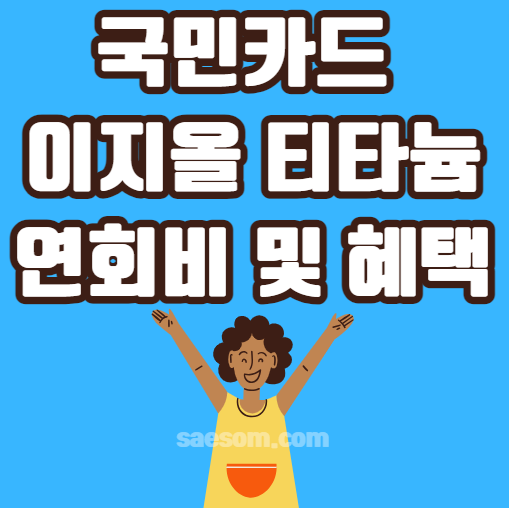국민카드 이지올 티타늄