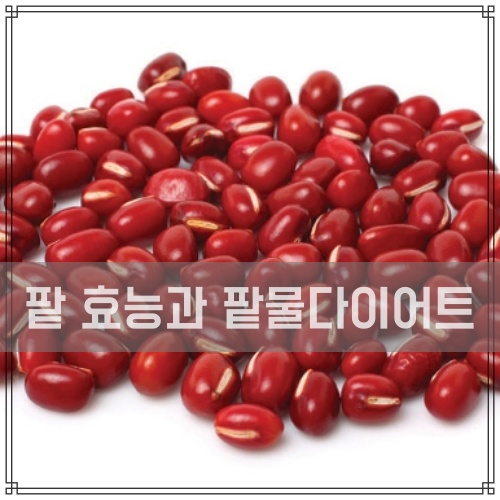  팥 효능 및 부작용 팥물 다이어트 효과