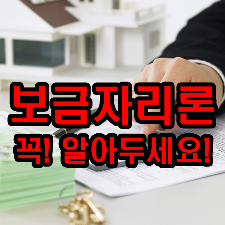  보금자리론, 드디어 승인!! 집 계약전에 꼭 확인하셨으면 합니다!!