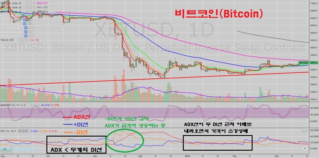 비트코인_일봉차트