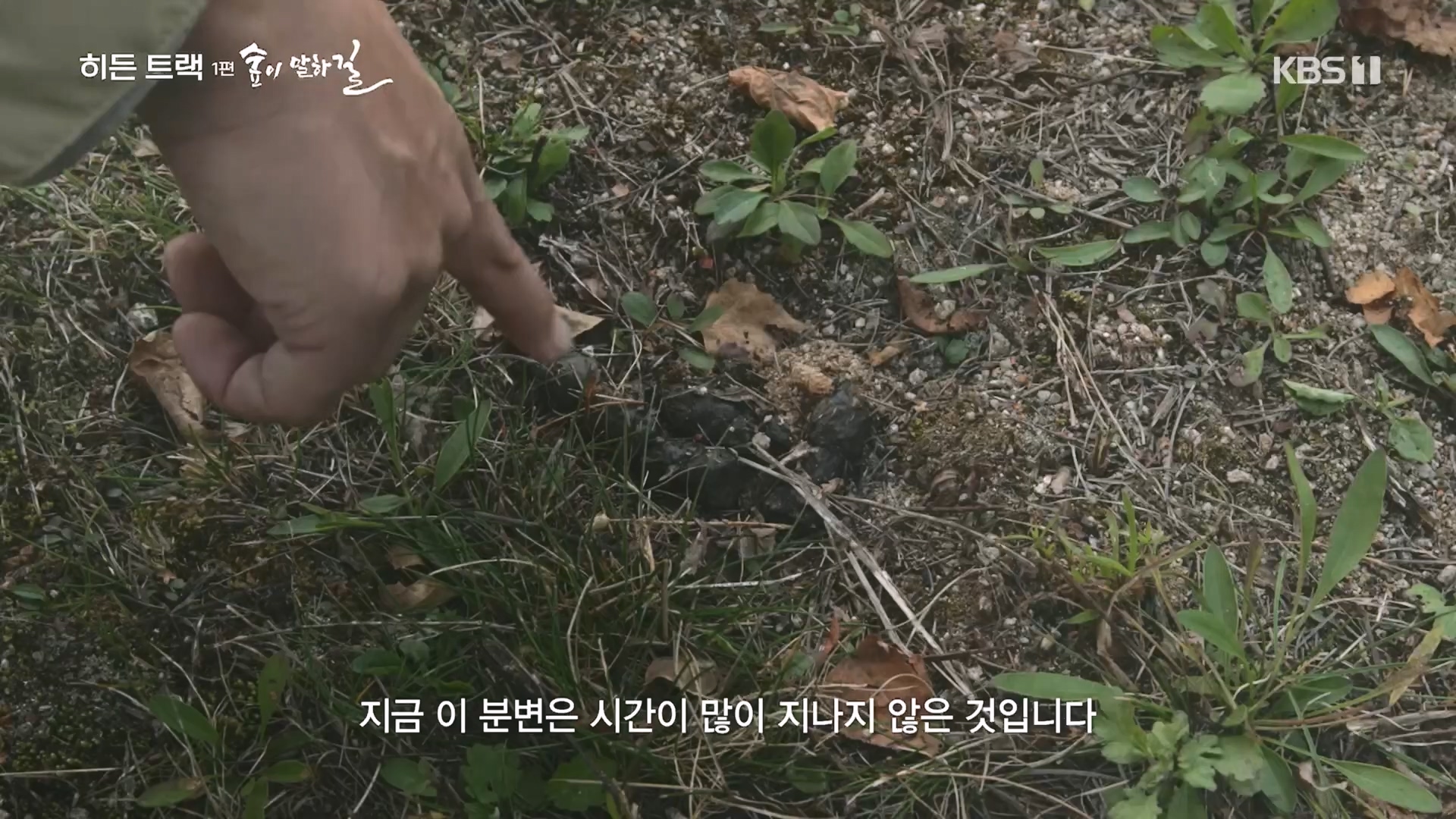 다큐 인사이트.E176.231214p.H264-F1RST.mp4_20231215_205450.379.jpg