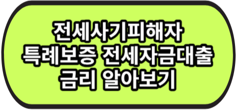 전세사기피해자 특례보증 전세자금대출 KB국민은행