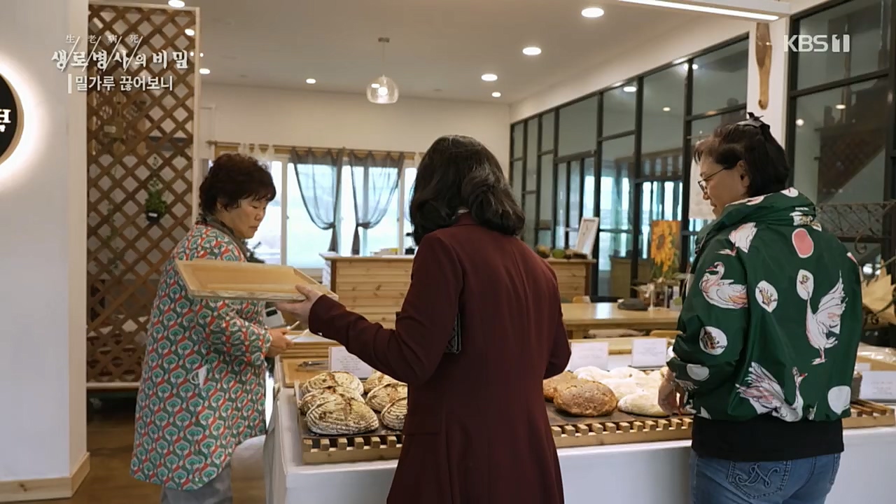 생로병사의 비밀.E846.221208p.H264-F1RST.mp4_20221210_182354.183.jpg