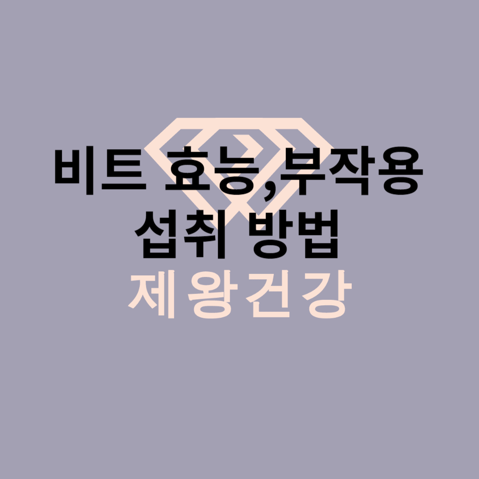  레드비트 효능 비트 효능 먹는법