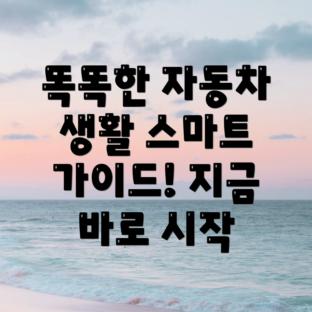 대국민 자동차 포털