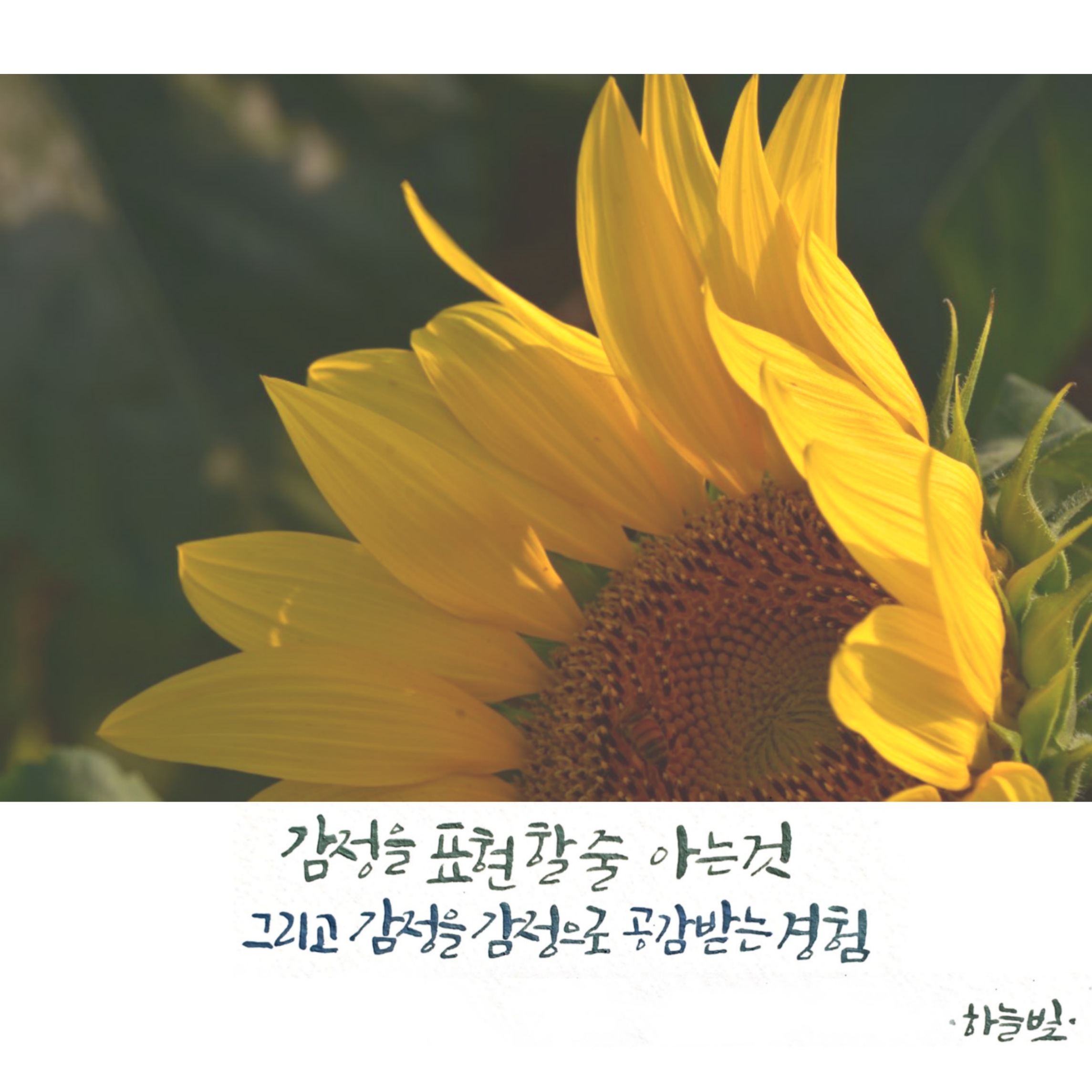  감정을 표현하고, 공감받는 경험