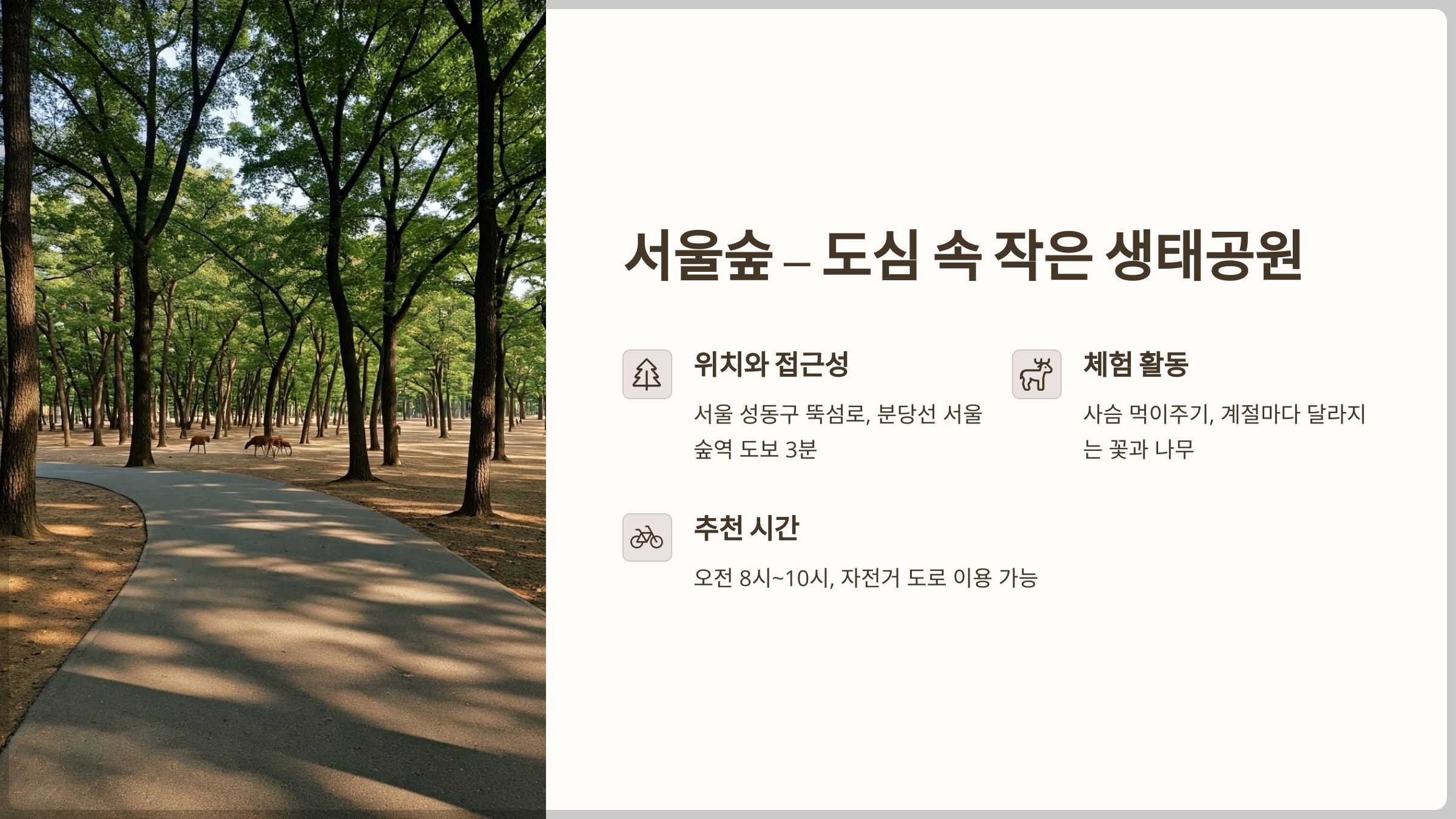 서울숲-도심 속 작은 생태공원