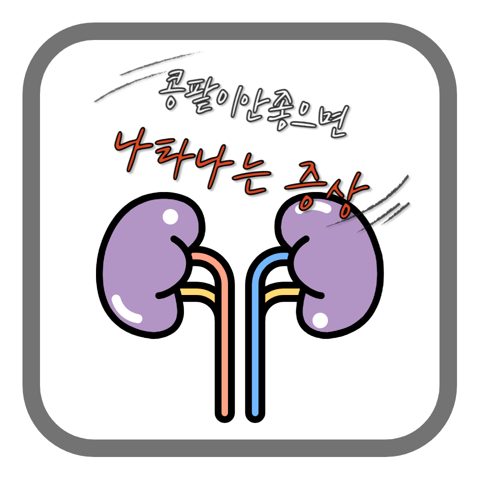  콩팥이안좋으면 나타나는 증상 11가지: 건강한 신장을 지키는 방법