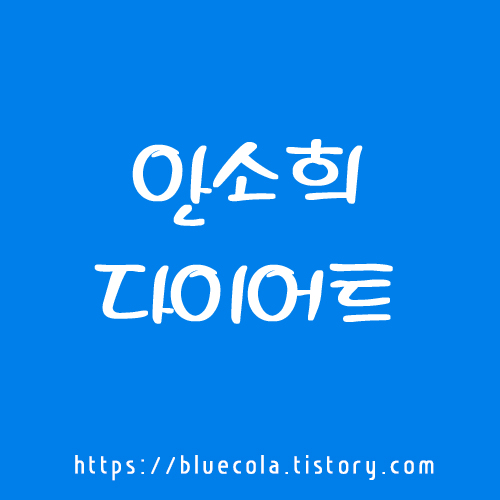 안소희의 하루 한 끼 다이어트