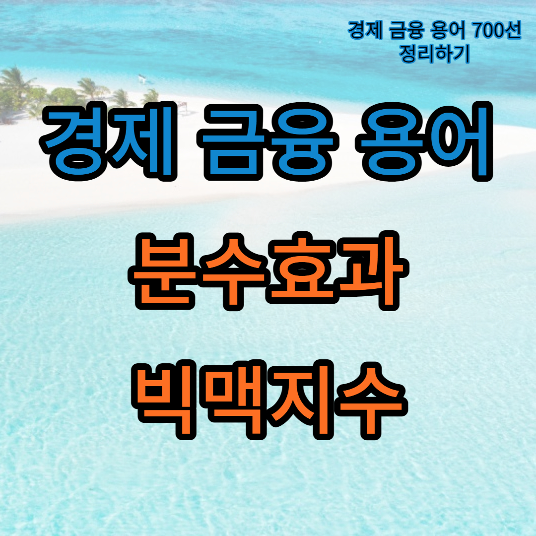 경제금융용어_분수효과_빅맥지수