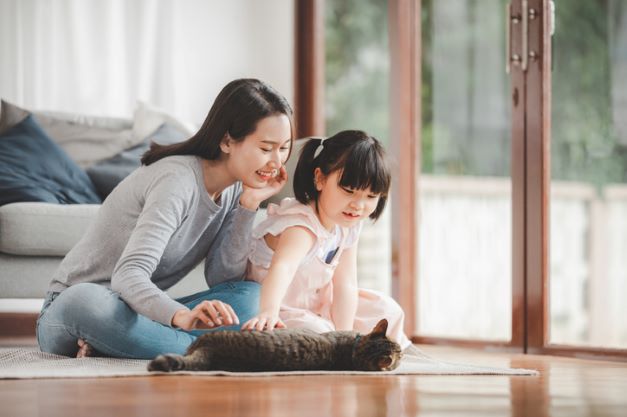 고양이 나이와 사람의 나이 비교