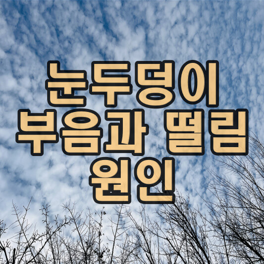  눈두덩이 부음 원인 50대가 꼭 알아야 하는 이유
