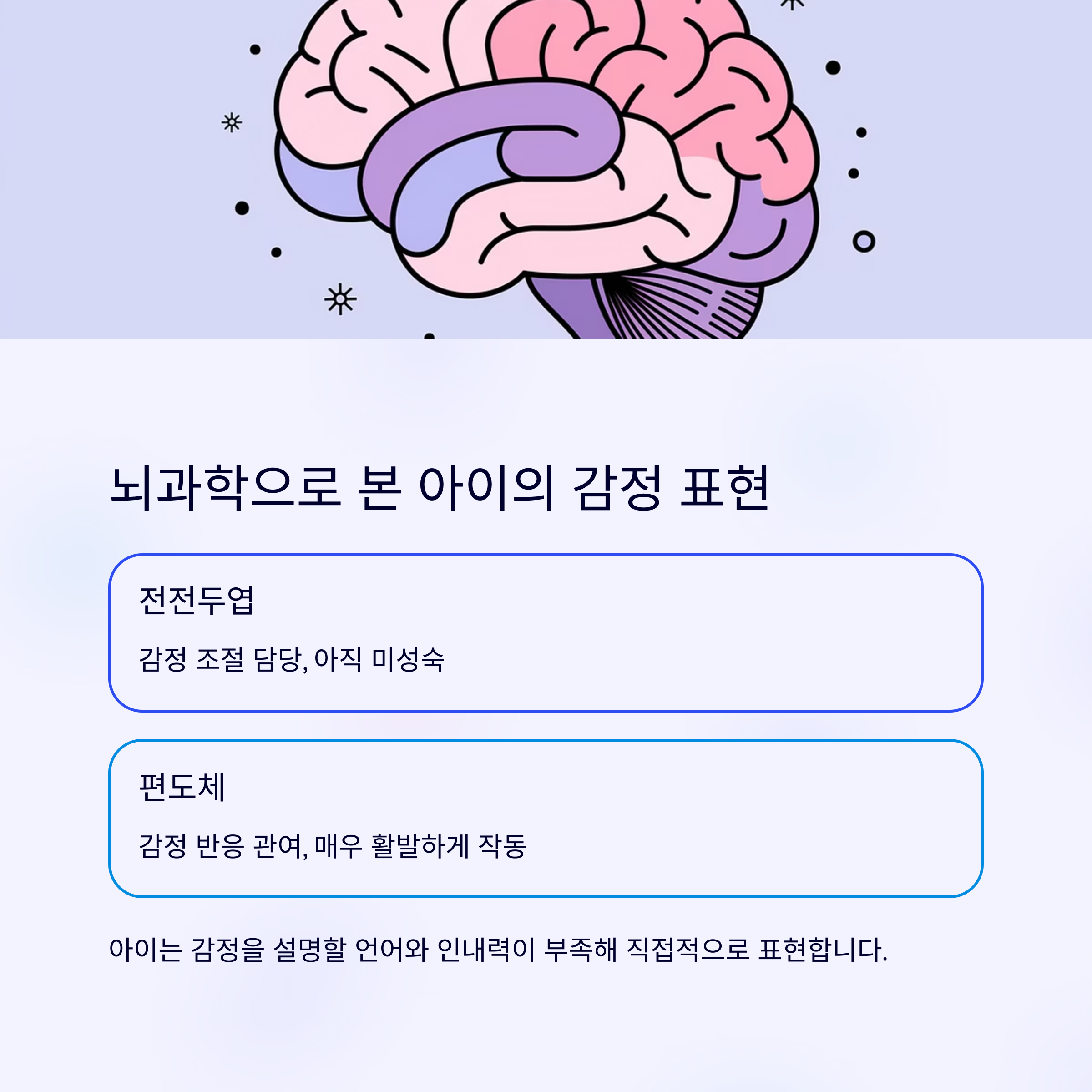 육아 스트레스 – 뇌과학으로 본 감정 표현 과정