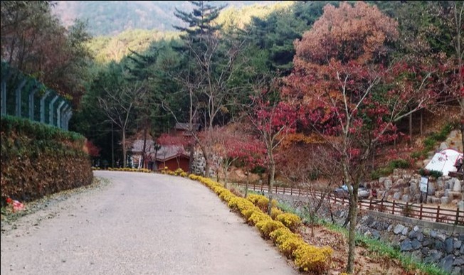 순천 가볼만한곳 베스트10 알아보자